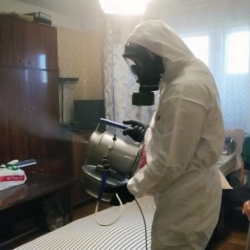 Дезинфекция от клопов в Лесном Городке